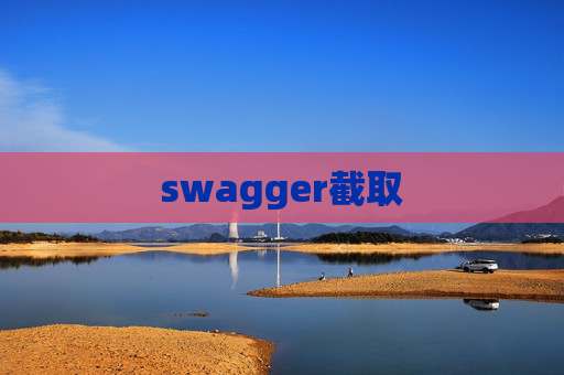 swagger截取